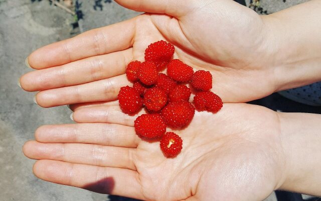 PalmValley Pool Villa Resort