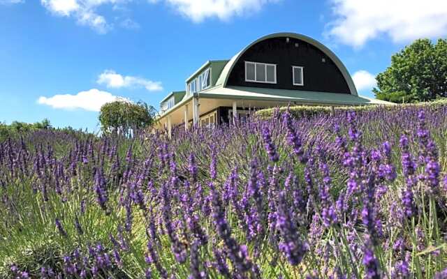 Coatesville Lavender Hill