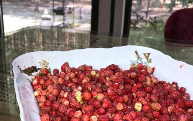 Эко-поместье Озера