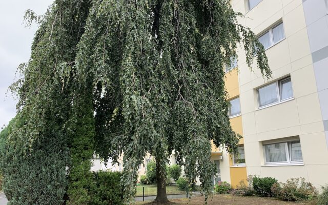 Domapartment Airport Koeln-Bonn