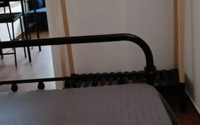 Ružica 2