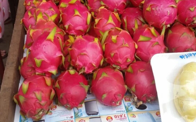 Longan Tree
