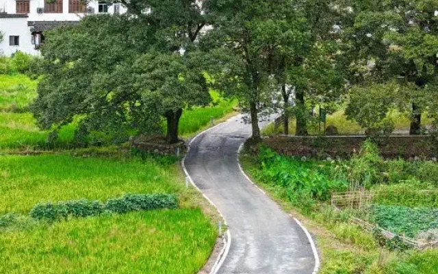 Hongcun Xinxin Zixin Inn