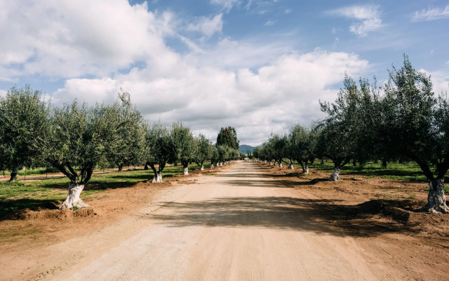 Villas en Los Retoños