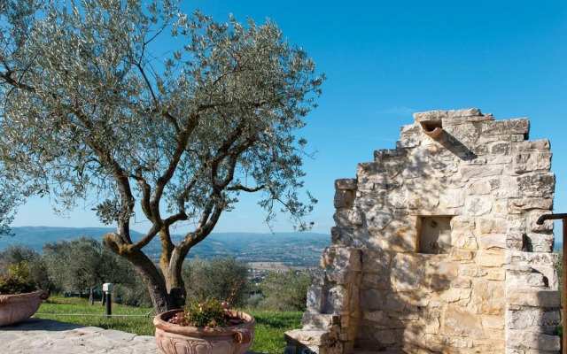 Moriaolo Piedicolle in Piedicolle