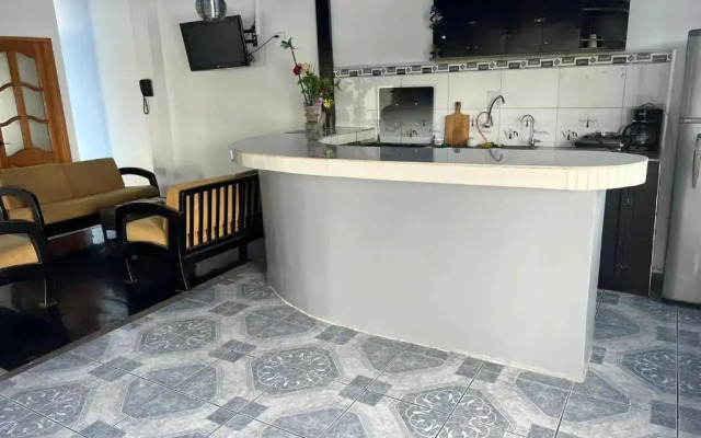 Flightless Cormorant