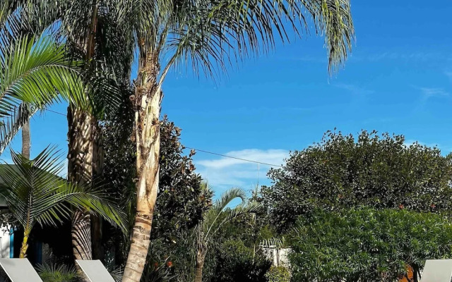 La Piña Verde