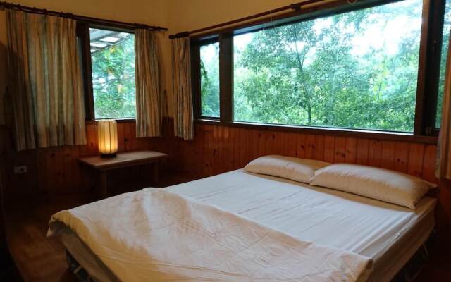 Flower and Green Collection