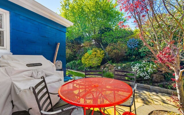 Magnolia on the Hill