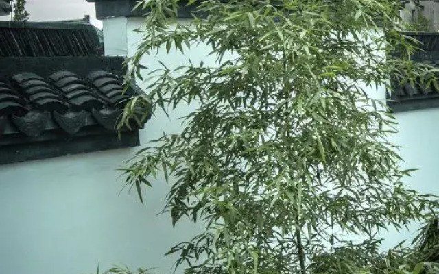Xitang Zhuo garden Private Garden Inn