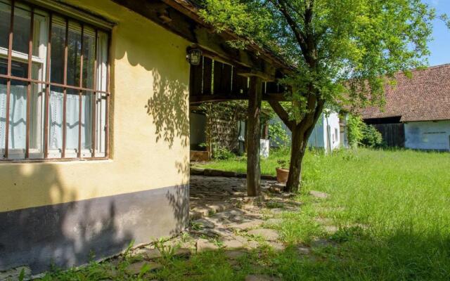 Experience Transylvania Criț 217