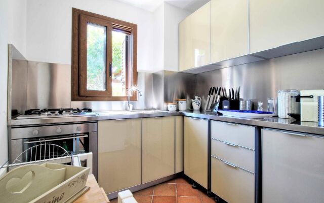 Foresta Forte - Ciolo