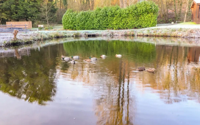Lakeside Lodge