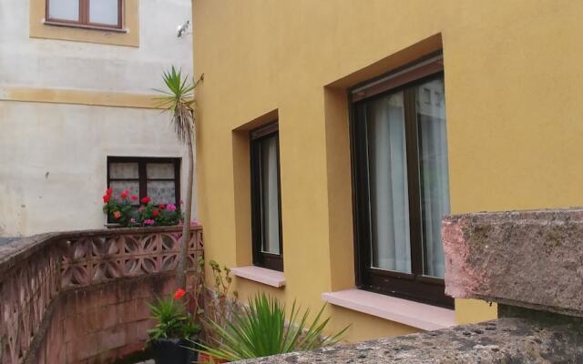 La casina llena de amor