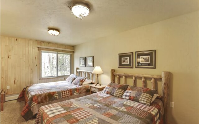 SkiWatch 103 - 2 Br Condo