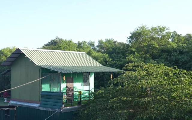 Wild Tusker Masinagudi by LexStays