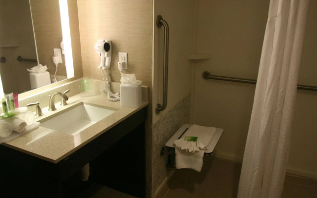 Holiday Inn Express & Suites San Antonio Medical-Six Flags by IHG