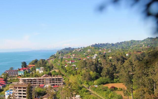 Dreamland Oasis Luxury 1801