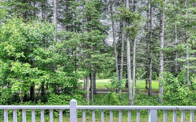 Borealis Homes