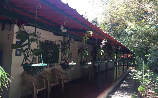 Palm Grove Service Villa