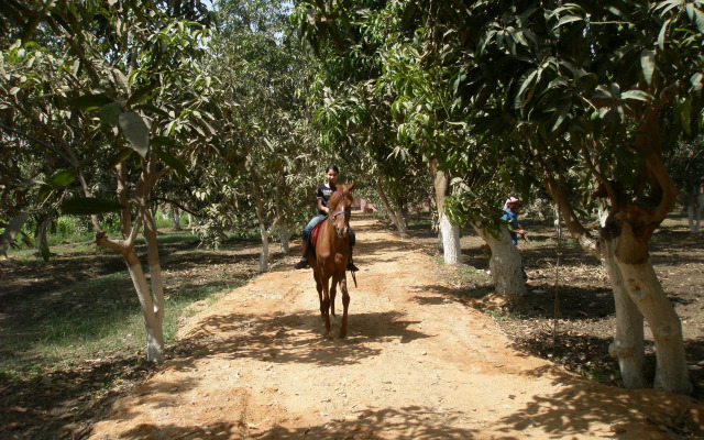 Equestrian lodge - Pyramids Egypt
