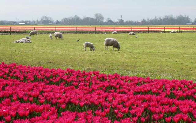 Dragonfly chalet Burghorn