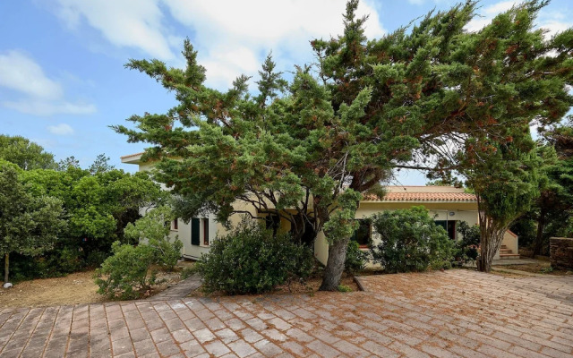 Sardinia Re - La Cruzitta - Garden