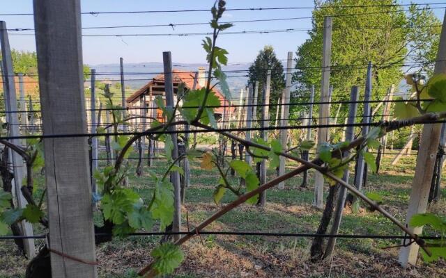 Vineyard Cottage Hocevar