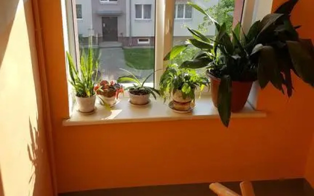 L.E.C. Travel Apartments Ventspils