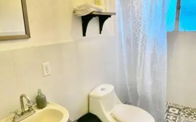 Amazing Cozy Apartment in Condesa