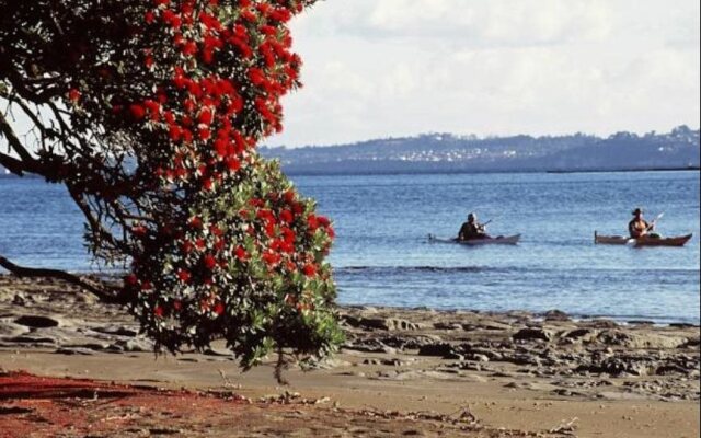 Mahurangi West Wing