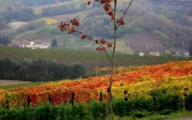 Agriturismo Le Due Cascine