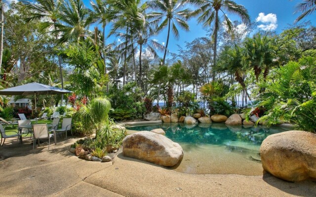 Turtle Dreaming in Palm Cove