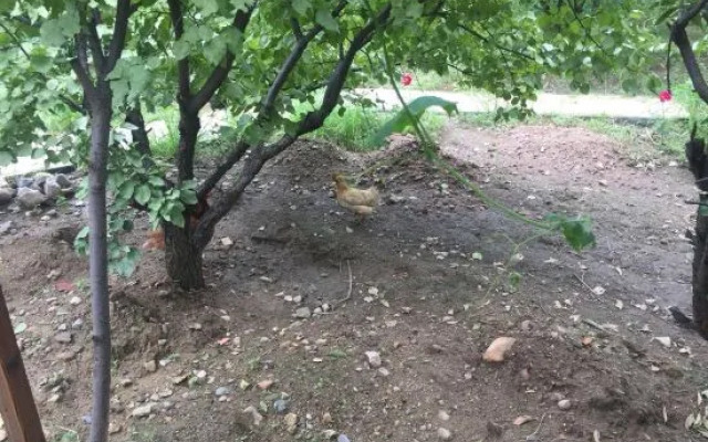 Beijing Fanlin Ecological Homestay