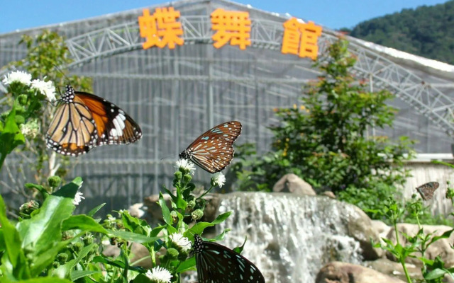 Tai Yi Red Maple Resort