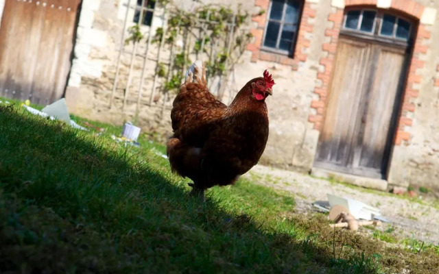 Château de Bois-Briand