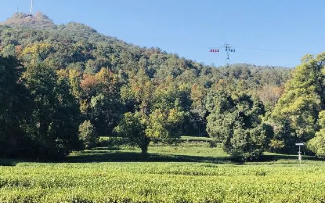 Fushengtang Lingyin Ferry Homestay (West Lake Lingyin Temple Branch)