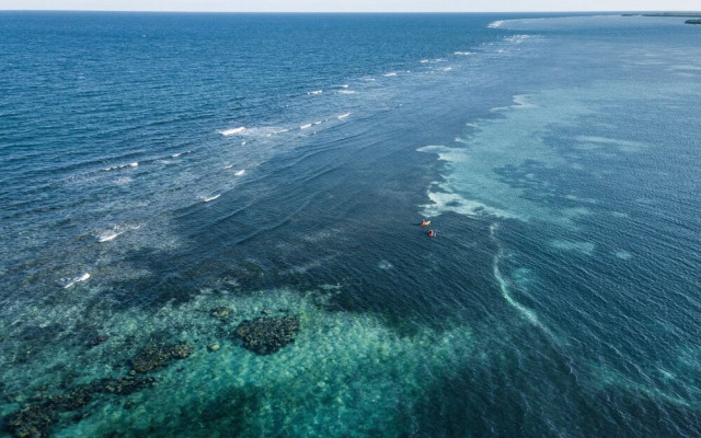 Belize Dive Haven