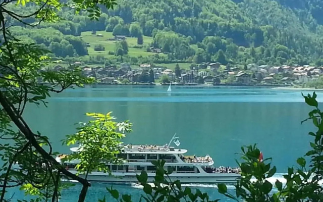 The Hotel Alpina