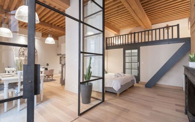 Very Comfortable Loft in Croix-rousse