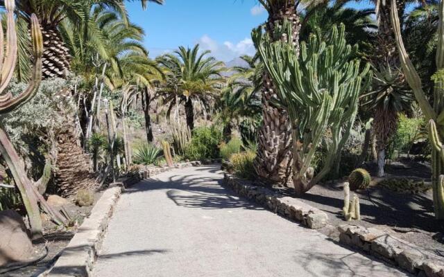 Villa de Cactualdea