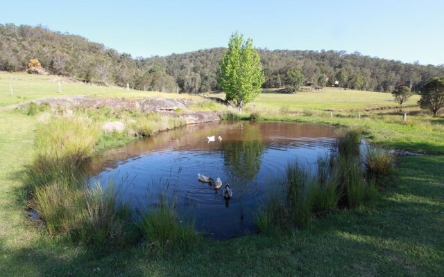 Avoca House