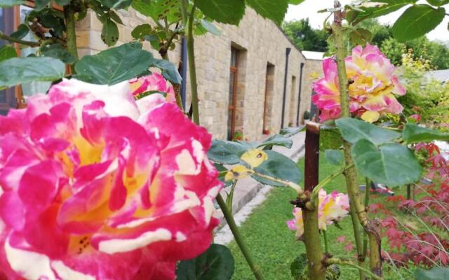 Boomerang Guest House