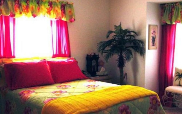 Tropical Paradise Bed & Breakfast