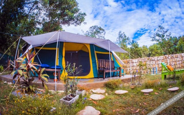 Cubby House Resort & Glamping