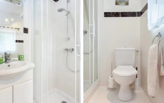 Hirondelle in Charming Village