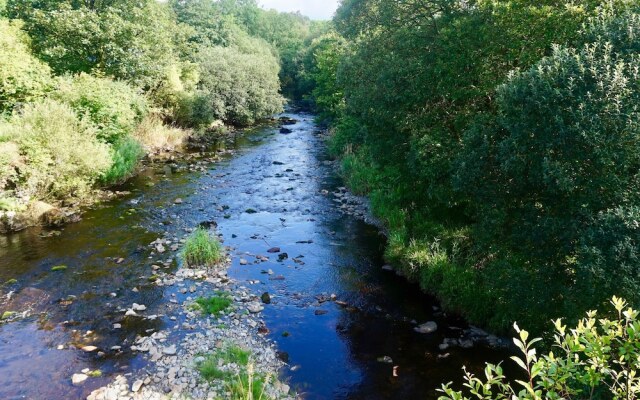 Bryn Conwy