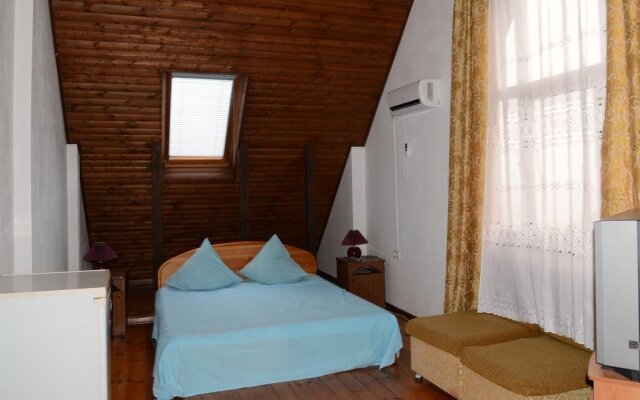 U Vladimira Guesthouse