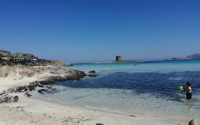 Cala Sardinia Apartment