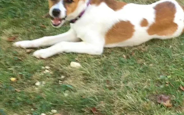 Bishop's Rest Porrentruy